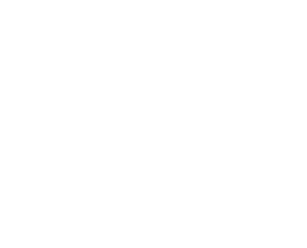 MCI 2025 Mitsui Chemicals, Inc. 2025